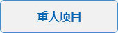 重大项目