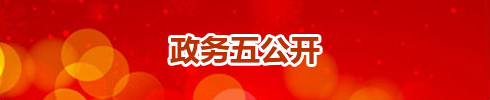 政务五公开