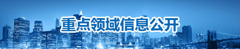 重点领域信息公开