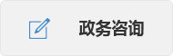 政务咨询