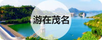 游在茂名