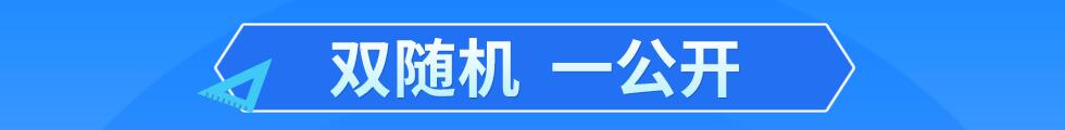 双随机一公开
