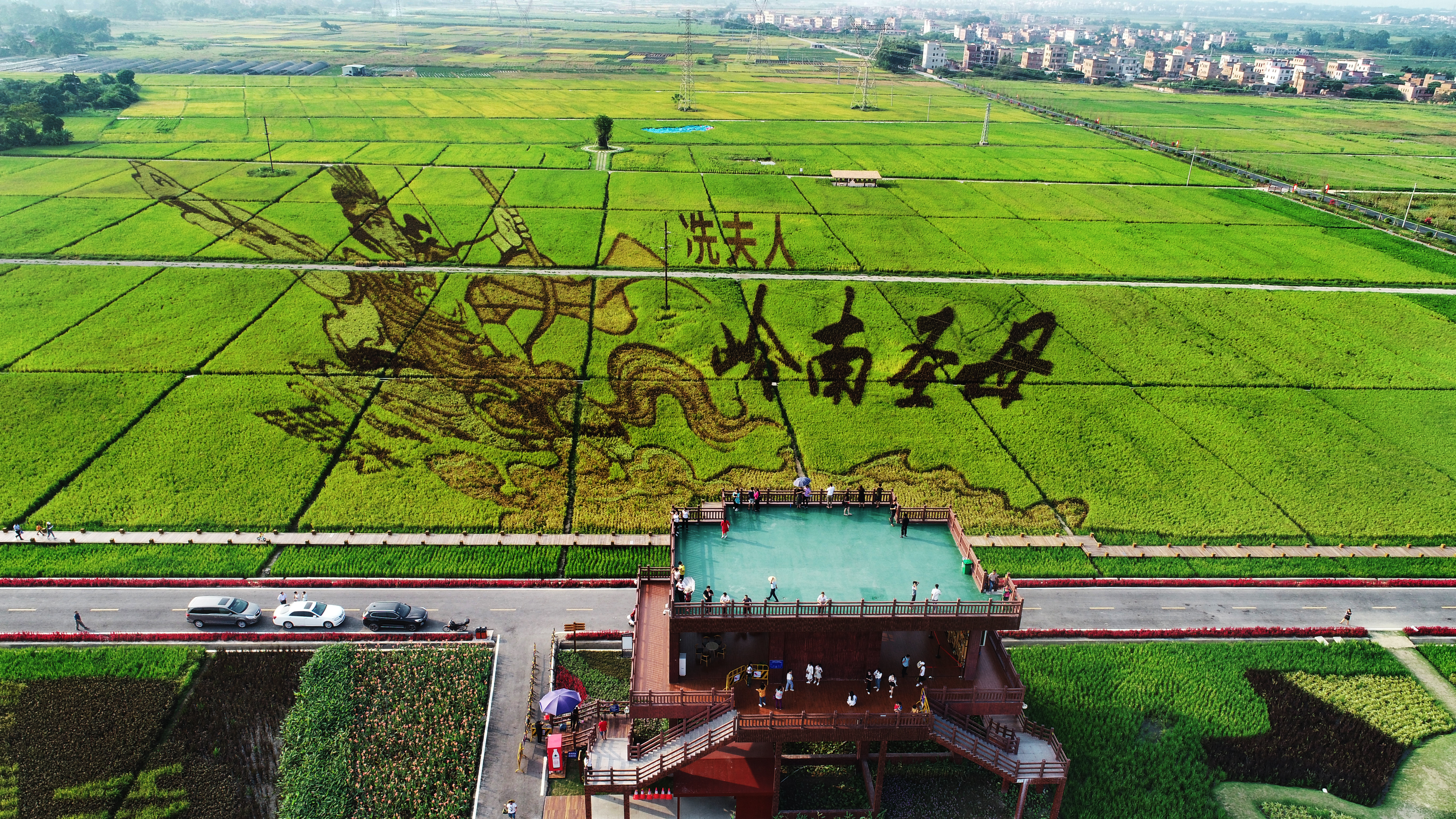 茂南区田园综合体丘立贺摄 (2).jpg